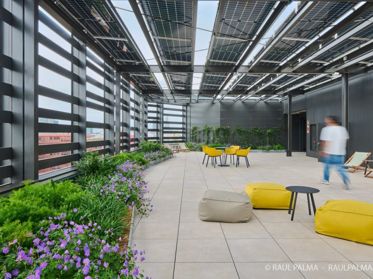 2024_06_19_TETRIS_SOCIALPOINT-0995